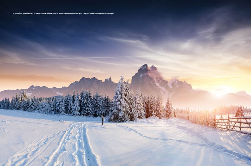 Winterliche Frühlingsszene