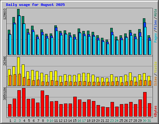 Daily usage for August 2025