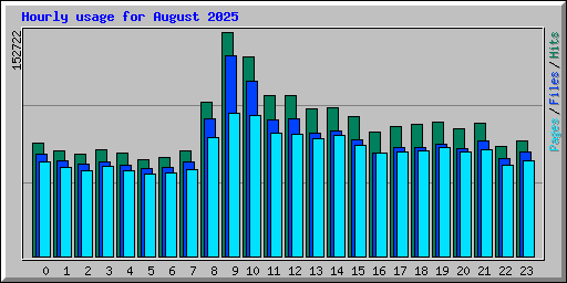 Hourly usage for August 2025